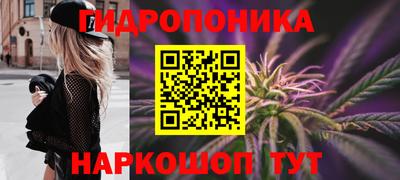 гашик Можга
