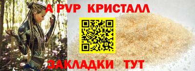гашик Можга