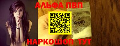 гашик Можга