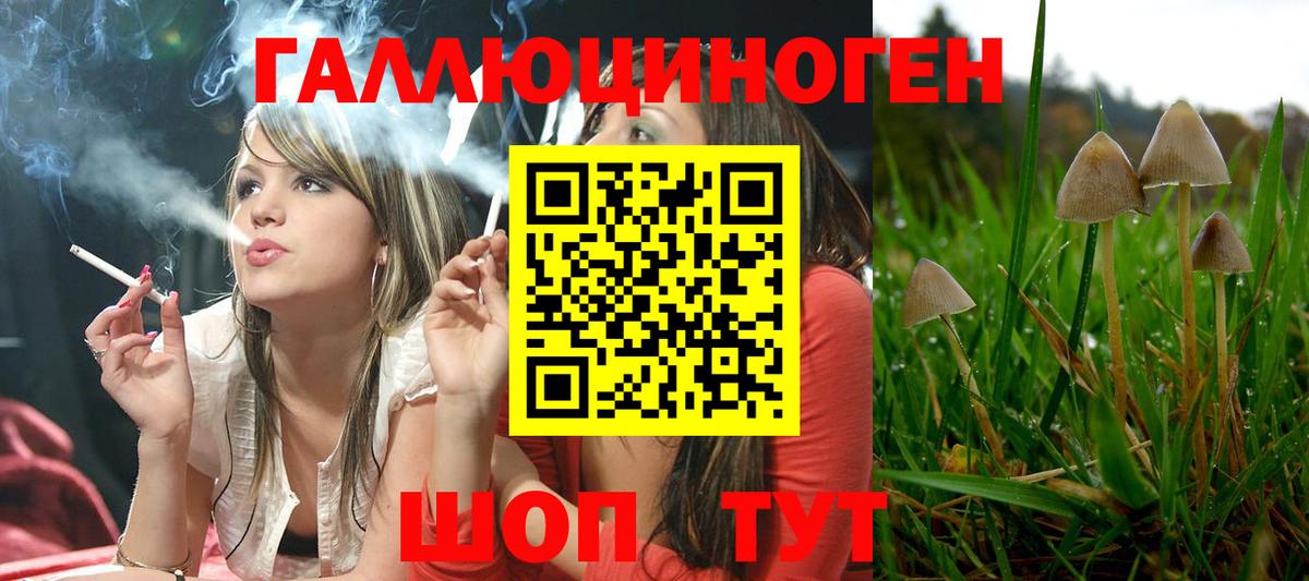 Обнинск  Галлюциногенные грибы мицелий  Вход с VPN 