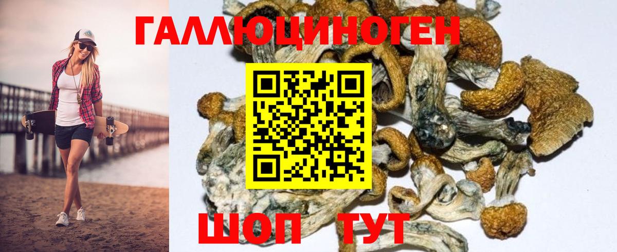 Псилоцибиновые грибы GOLDEN TEACHER Обнинск